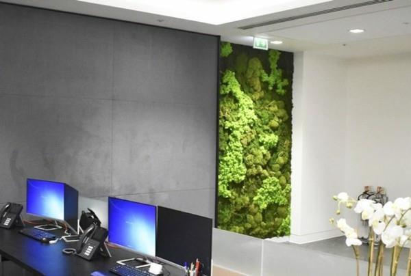 חיפוי קיר קיר ביובליה מוס ירוק הקמת משרד במקום העבודה