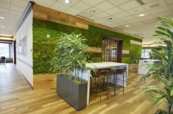 הפוך את קיר האזוב לעצמך Biophilia מגמות חיים צמחים בתוך הבית