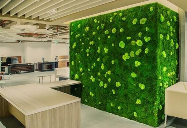 הפוך את קיר האזוב בעצמך Biophilia יישום טרנדים חיים עם עיצוב קירות חיים