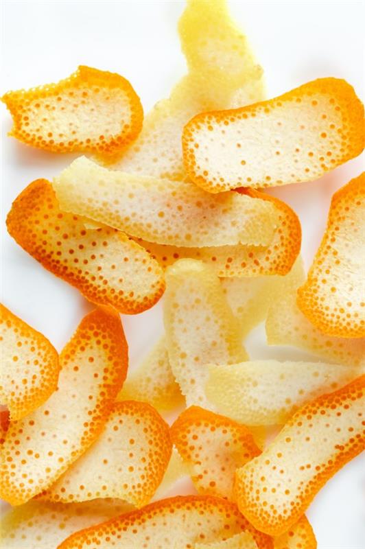 שיטות טבעיות ותרופות ביתיות לזבובים, כמו גם טיפים מועילים אחרים זבוב קליפת תפוז