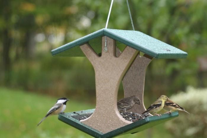 למחזר מזין ציפורי טינקר לבנות פסולת להפחית ציפור