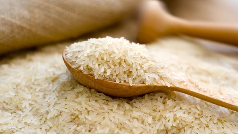 בישול נכון של אורז הכרת סוגי האורז