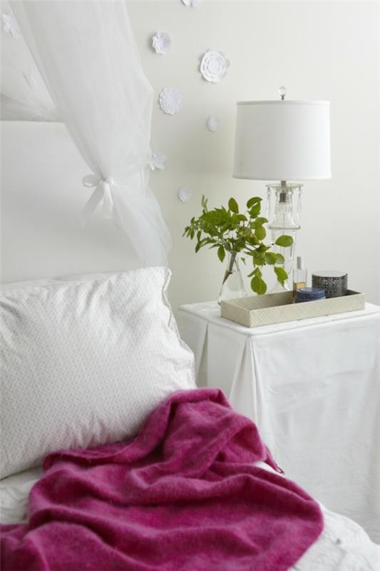 צמחי בית לבנים חסונים צמחי חדר שינה