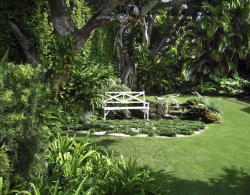 גן צל עם צמחים טרופיים יוצר ספסל לבן