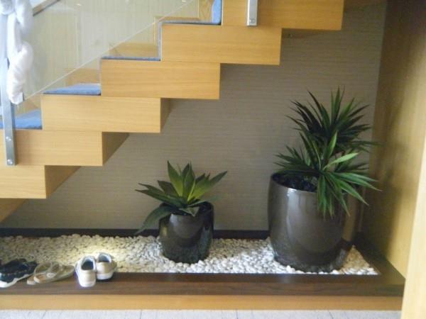חצץ בחדר מדרגות עם אגרטלים וצמחים