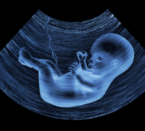 crescita del bambino durante la gravidanza