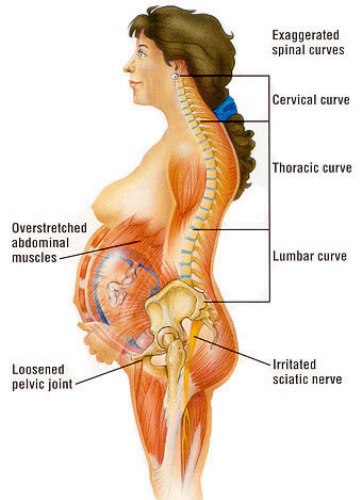 Dolor de espalda durante el embarazo