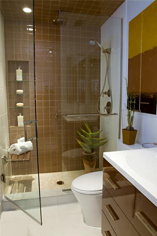 אריחי אמבטיה חום רעיונות אמבטיה קטנים מקלחת צמחים
