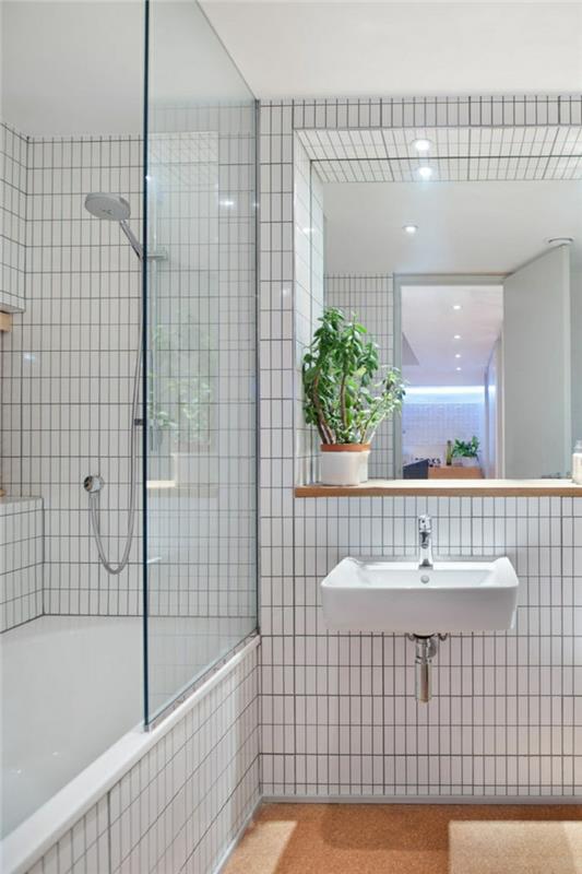 ריהוט אמבטיה אריחי אמבטיה לבנים אמבט מקלחת צמח