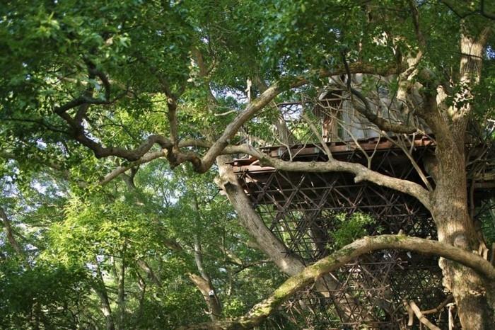 בניית בית עץ בית אקולוגי יפן בית תה