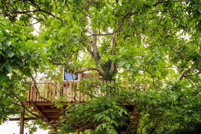 בית עץ עץ בתי heilbronn wlanussbaum עיצוב בסאטיאן בראון prdukt