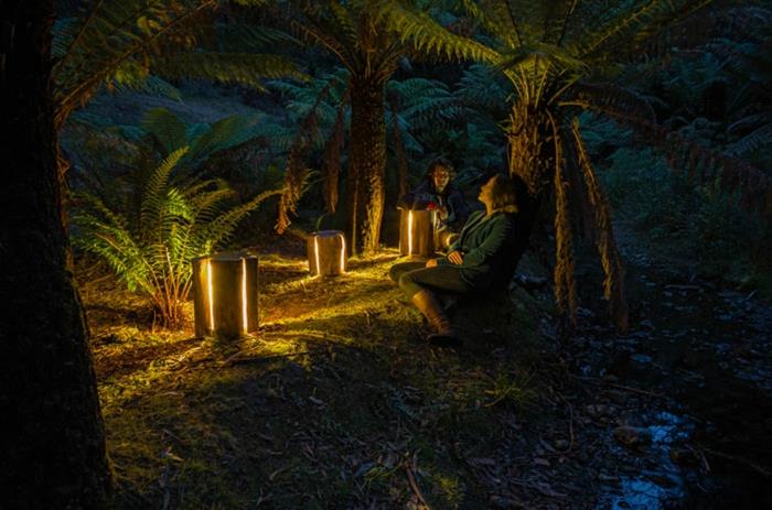 ריהוט גזע עץ מאת אורות טבעיים של Duncan Meerding