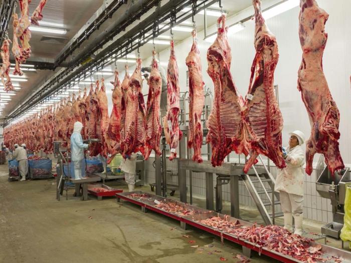 בשר אורגני במפעל טרי חקלאות לא בריאה