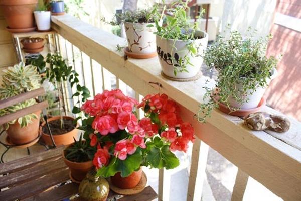 רעיונות לקישוט מרפסת מגניבים פרחים מעקה צמחים