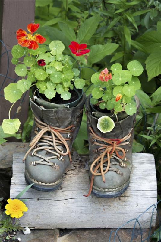 רעיונות לעיצוב עשה זאת בעצמך גן צמחי נעליים ישנות מיכלי צמחים