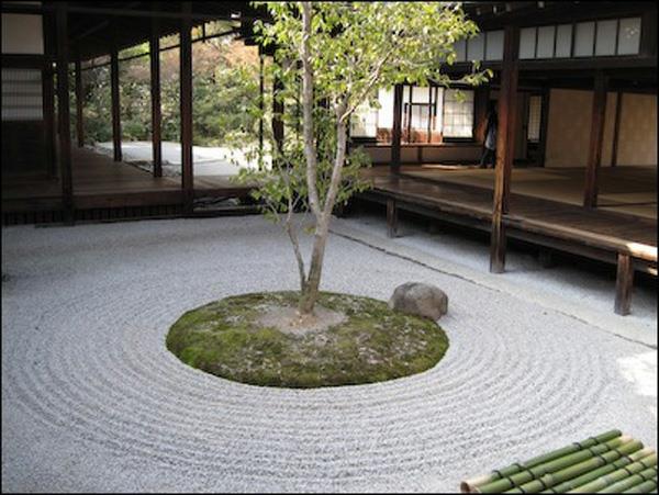 עץ האבנים מעגל הגן היפני