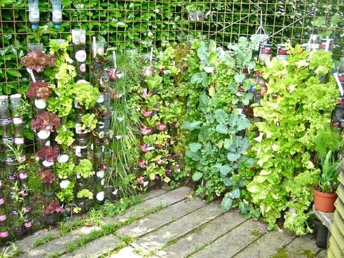 צמחים ירוקים DIY קישוט נהדר