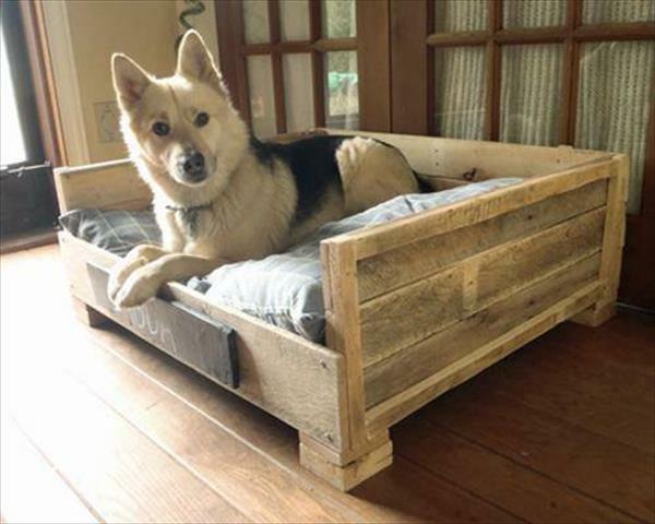 מיטות כלבים עשויות מעץ משטחי יורו מעשיים