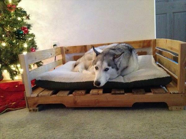 מיטות כלבים מעץ עשויות מסגרות מזרן אירו