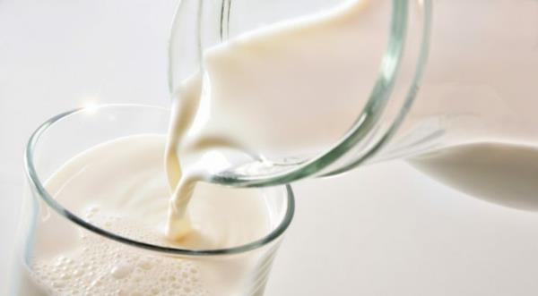 חלופה חלב חלב אפונה לטבעונים