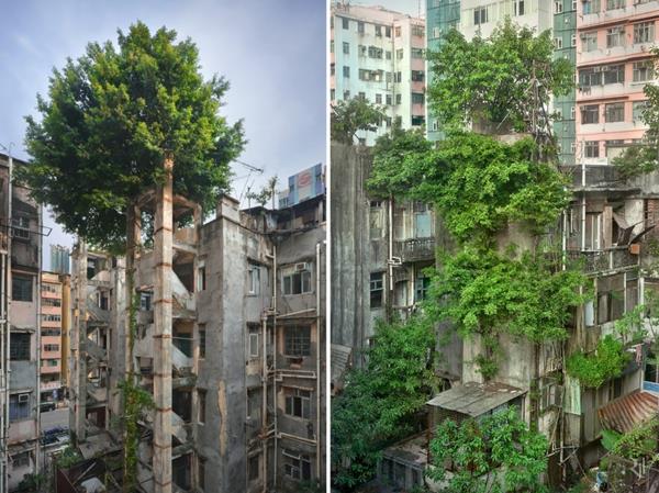 טבע כדור הארץ ואנשים תמונות של טבע מחוז העיר בניינים ישנים עצים