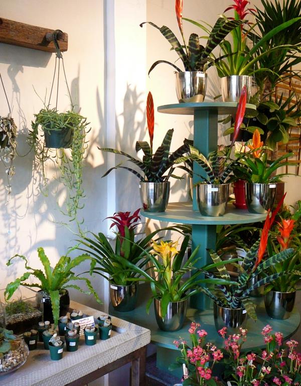 קישוט אקזוטי עם צמחים טרופיים אוסף צבעוני נהדר