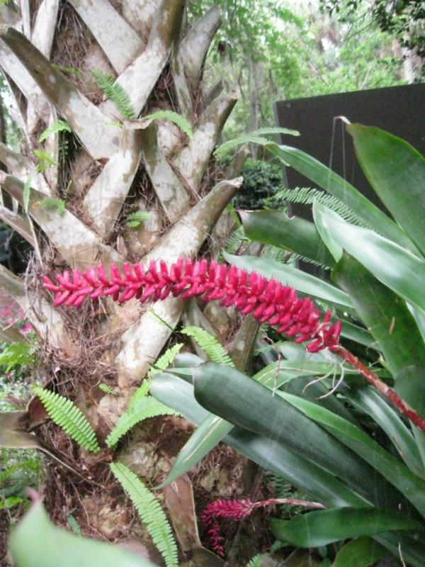 קישוט אקזוטי עם צמחים טרופיים ליד עץ דקל