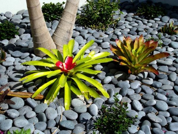 קישוט אקזוטי עם צמחים טרופיים חלוקי נחל אפורים