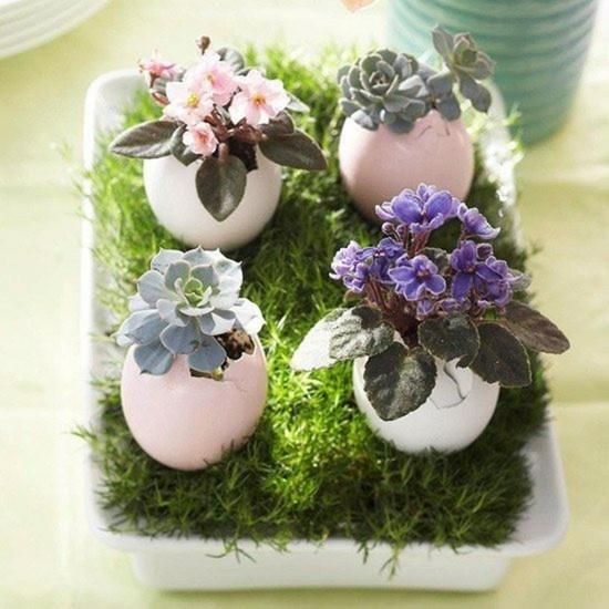 עיטור אדן חלון עם קליפות ביצים ופרחים