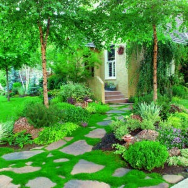 עיצוב גן מעיין בטון ומדשאה
