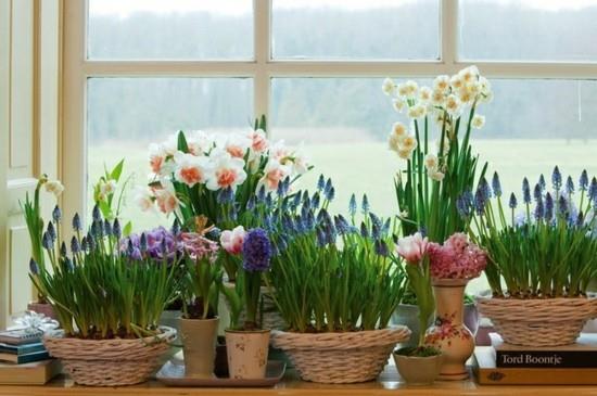 קישוט אדן החלון של פרחי האביב