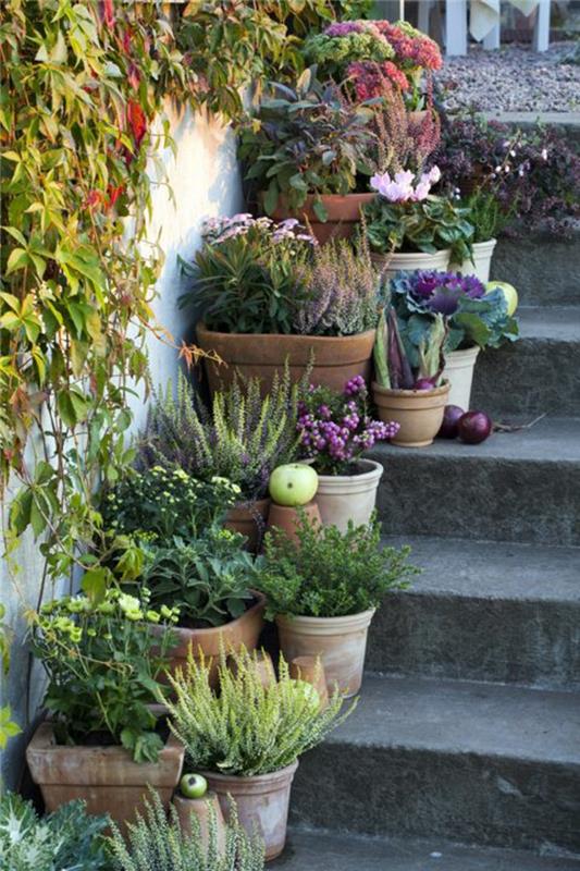 רעיונות לעיצוב גן לקשט מדרגות