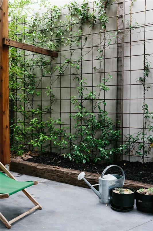 תמונות עיצוב גינות טיפוס צמחים גדר גן לקשט