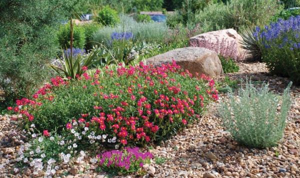 רעיונות לגינה עיצוב גינות צמחים רב שנתיים חצץ פרחי קיץ