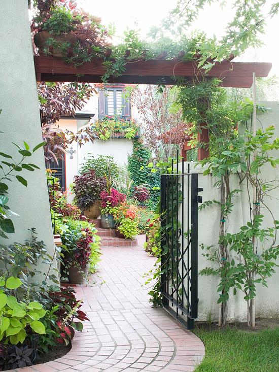 גדר גן עץ בראום מתכת רשת דלת צמחים פרחים