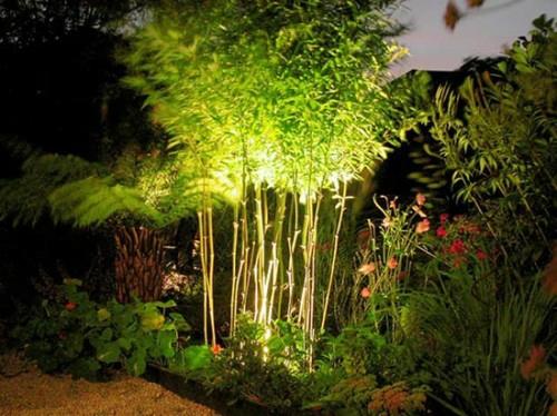 גינה עצות תאורה חיצונית רעיונות צמחים במבוק