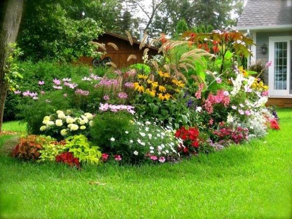 עיצוב גינה רעיונות לגינה צמחים רב שנתיים צמחים פרחים דשא