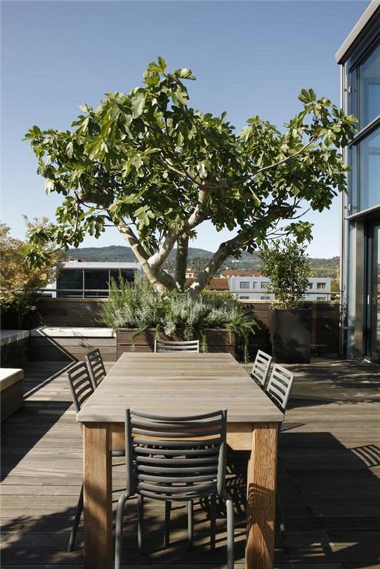 עיצוב גינה רעיונות עיצוב מרפסת שולחן עץ רצפת עץ רעיונות לגינה
