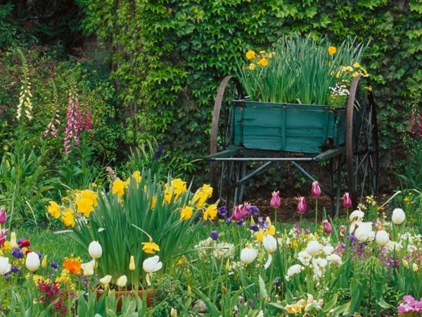 רעיונות לגינה פרחי אביב צבעונים נרקיסים מריצות אופניים