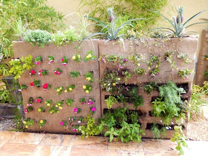 רעיונות לגינה קישוט לגינה צמחי גן
