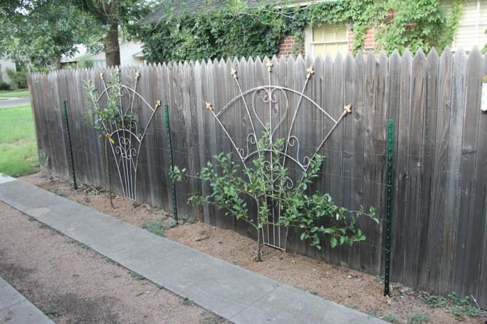 רעיונות לגינה עם סורג מעטרים את גדר הגן בצמחים