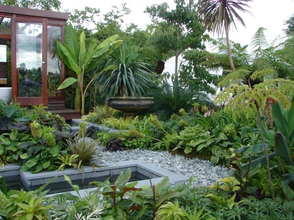 גינות רעיונות צמחים טרופיים בננה דקל אבנים טבעיות בריכת גן