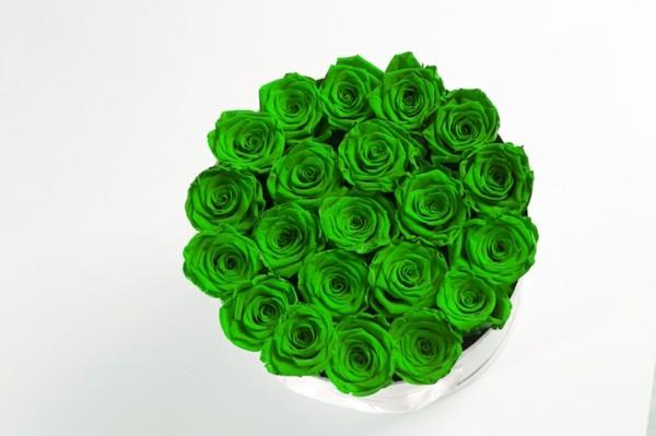 ורדים ירוקים משמרים את רעיון המתנה
