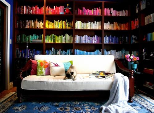 בית ספריית מדפי קיר צבעוניים כלב רעיון כלב מגניב