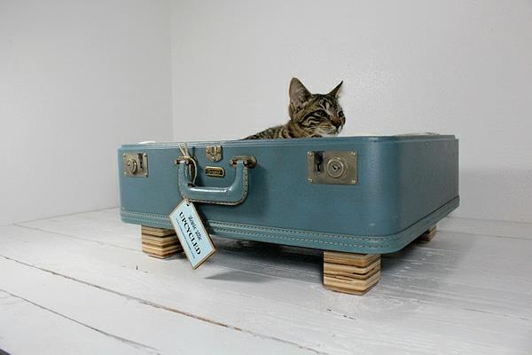כלבי חתולים שוכבים מזוודה מיושנת