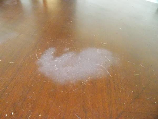 שולחן עץ מנקה כתם על השולחן