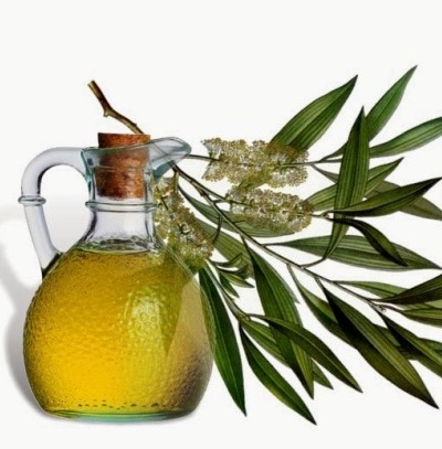 Olio dell'albero del tè per la crescita dei capelli