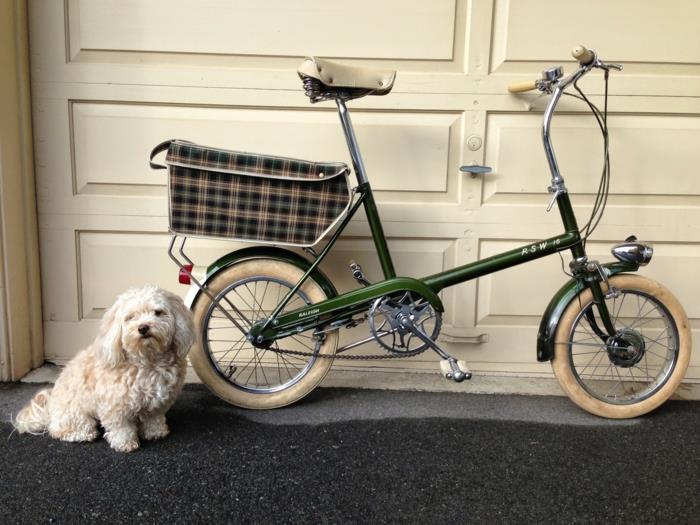 סל כלבים אופניים רכיבה על אופניים חיות מחמד כלבים