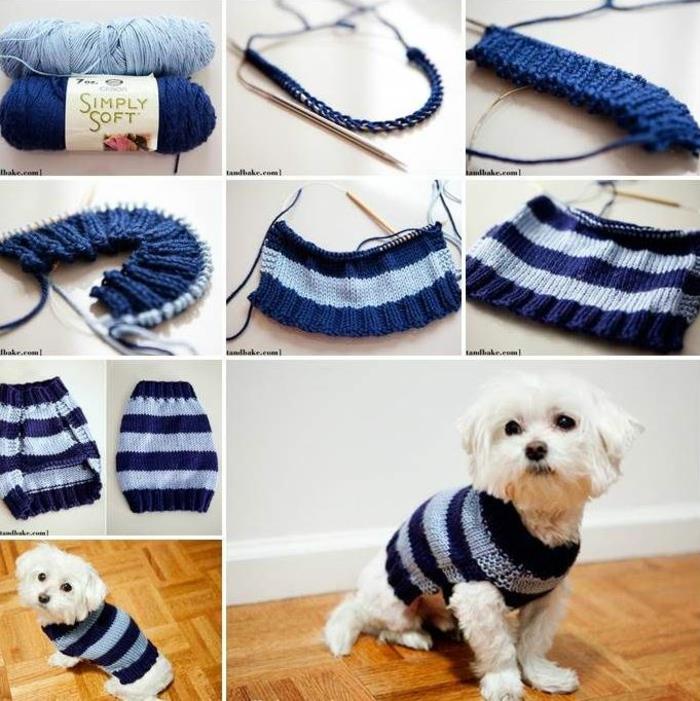 הדרכה לסריגת סוודר כלבים