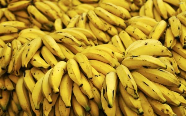 אינולין מקור בננות טבעיות
